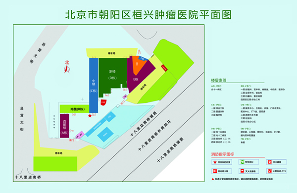 欧美老人黄片北京市朝阳区桓兴肿瘤医院平面图